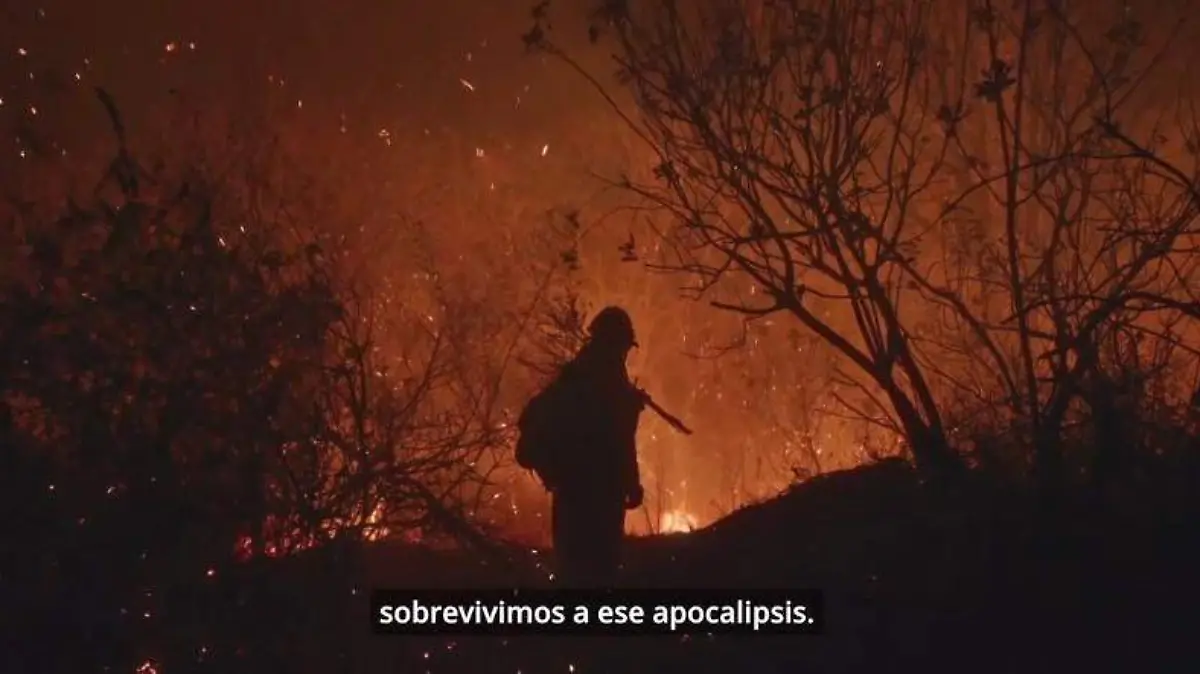 Brigada 2045