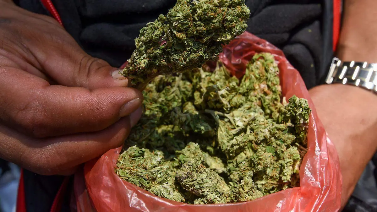 Marihuana