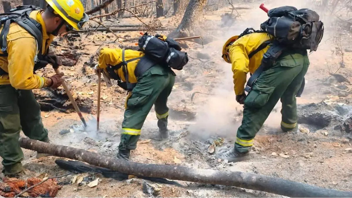 Bomberos Foto Verónica Delgadillo (3)