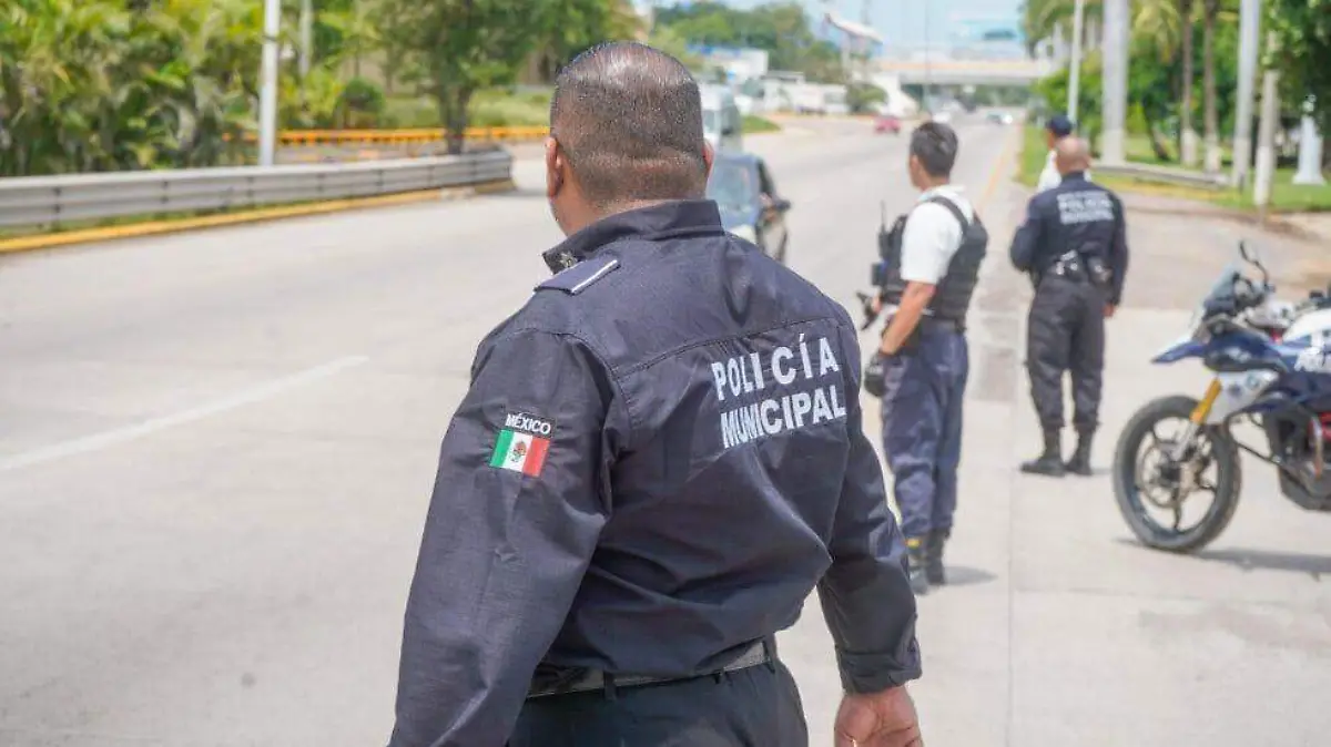 Seguridad Nayarit