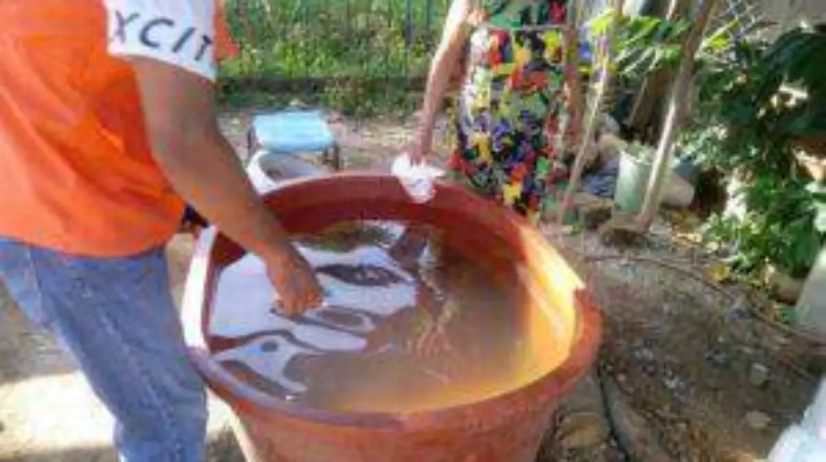 Abatización contra el dengue