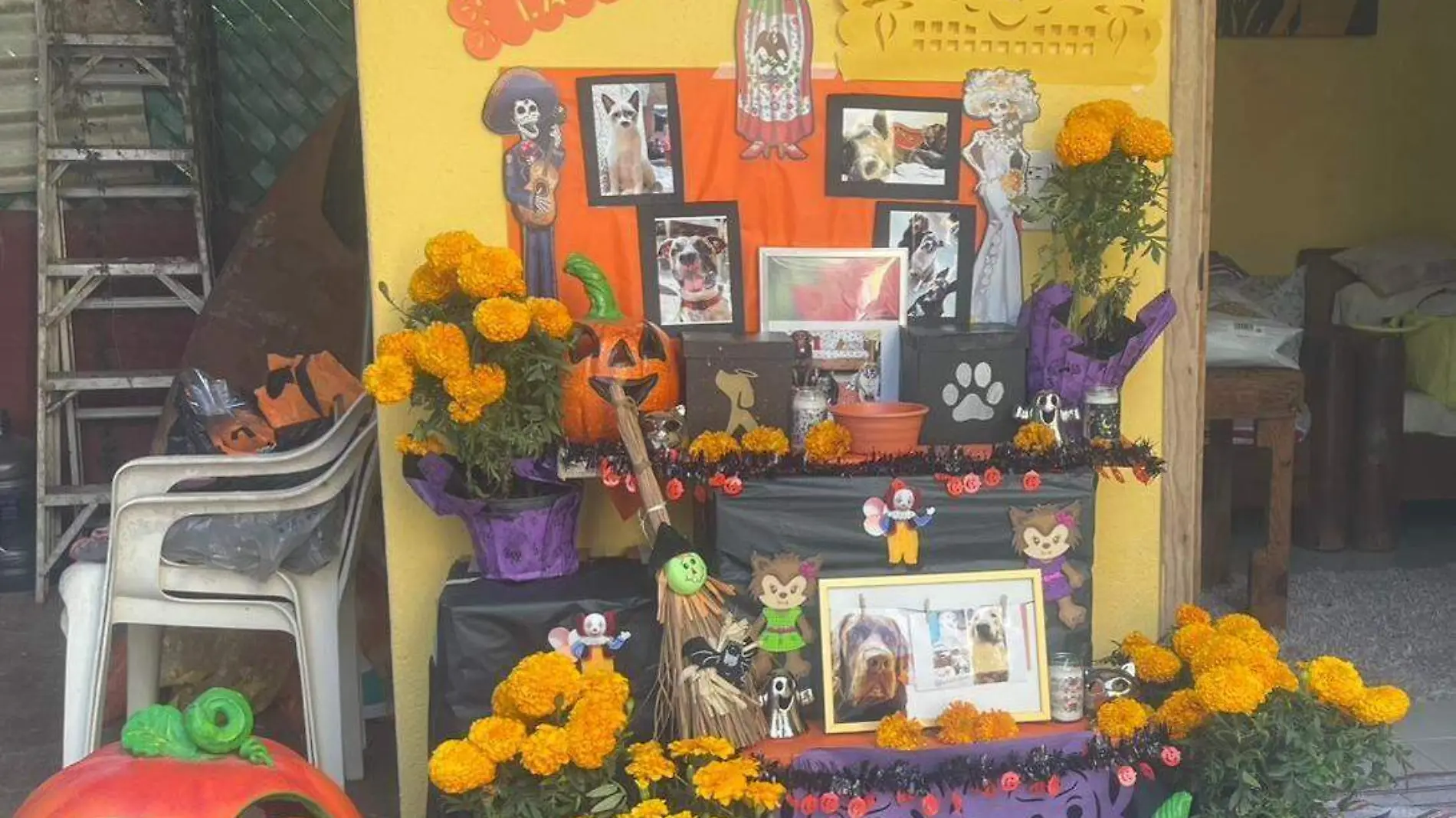 ofrenda-mascotas-dia-de-muertos-2