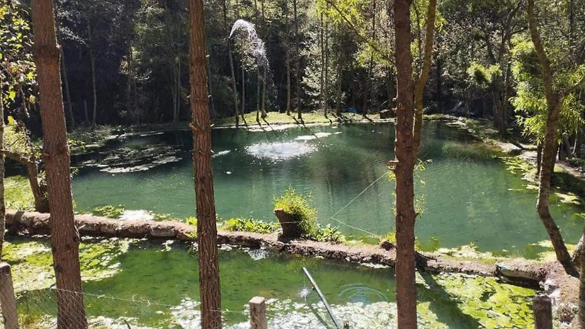 ixtlahuazaca-zapotitlan-guerrero-2