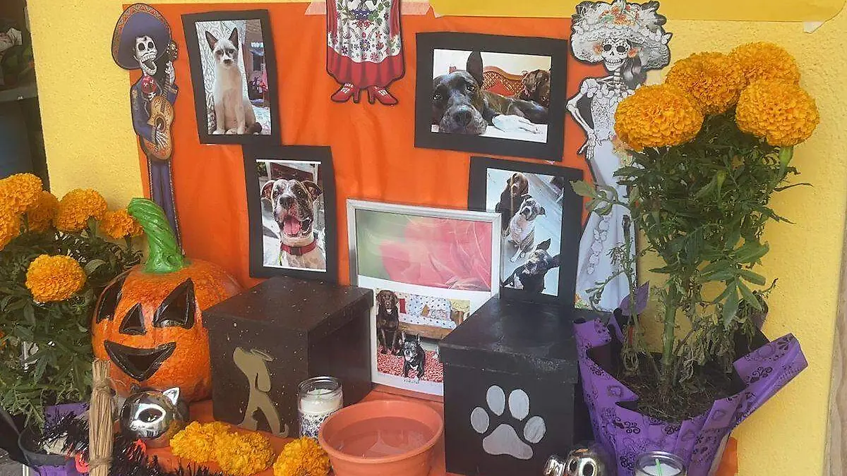 ofrenda-mascotas-dia-de-muertos-1