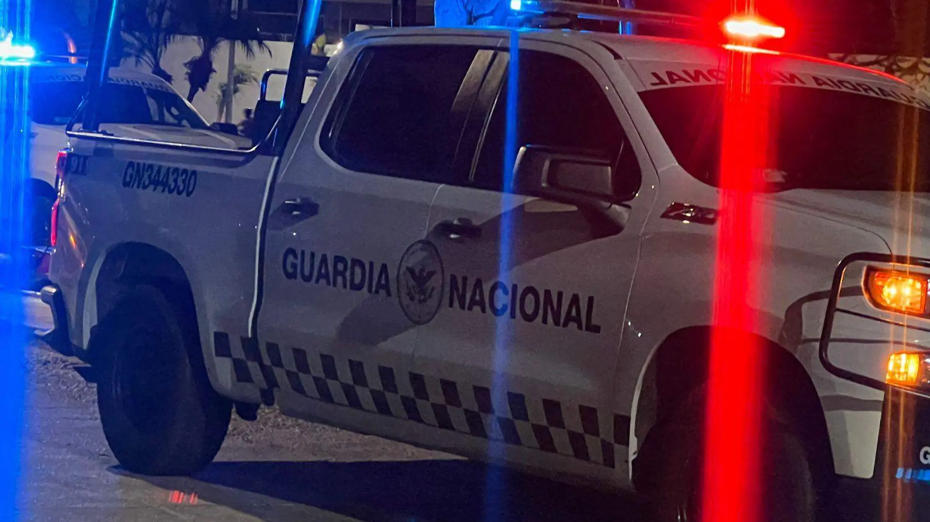 Policiaca-Rena