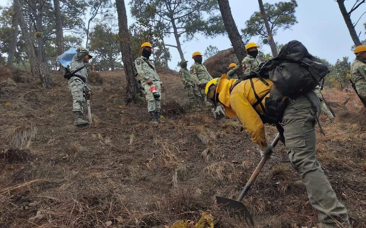 ejercito-resguarda-bigadistas-contra-incendios