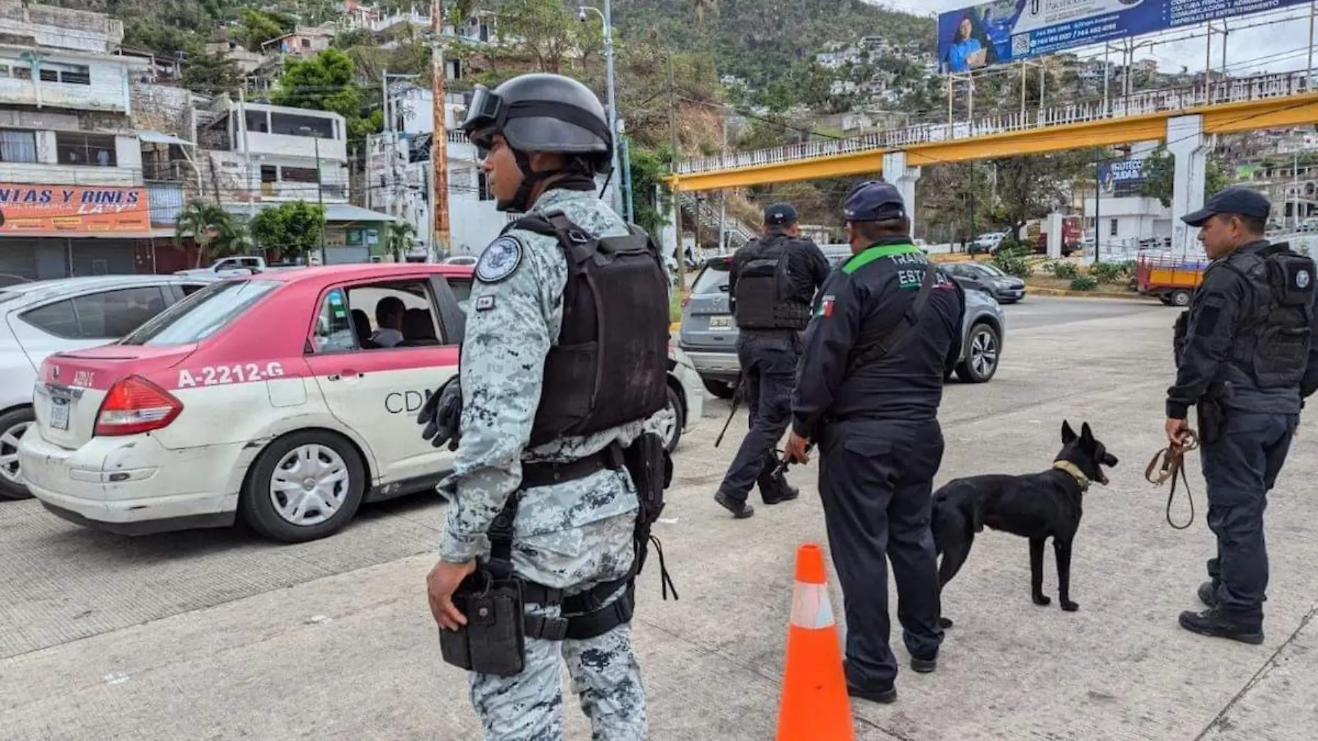 vigilancia-seguridad-acapulco