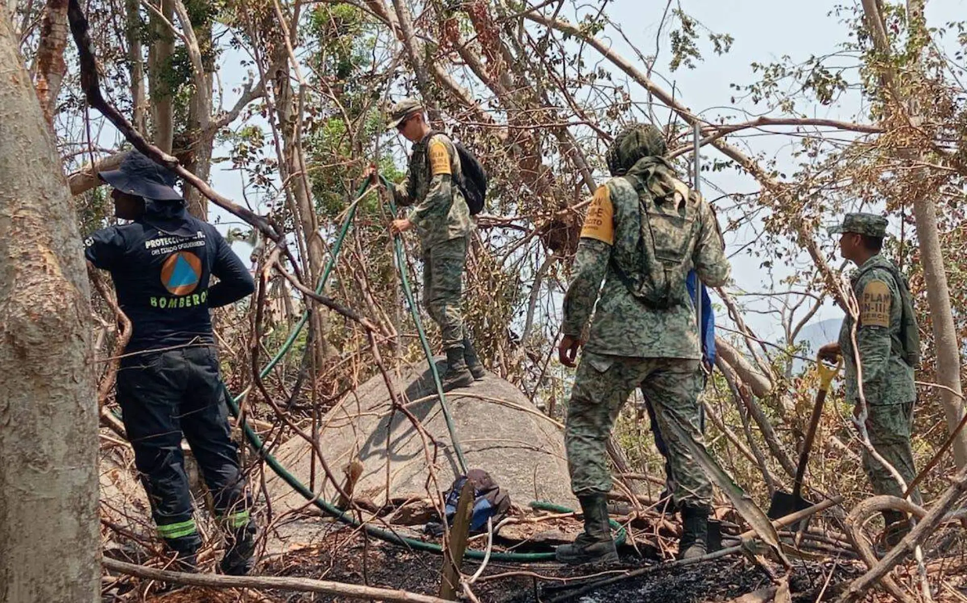 incendios-forestales-guerrero-2