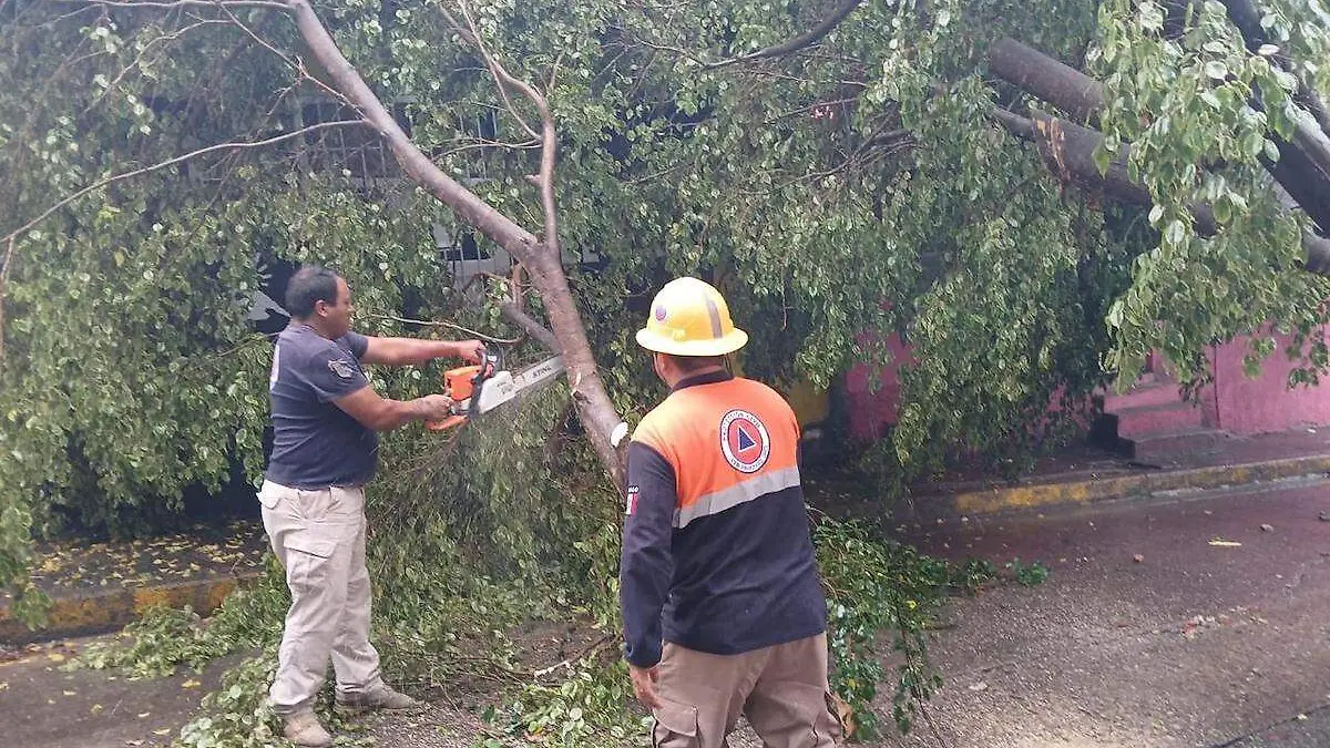 arboles-caidos-encharcamientos-lluvias-chilpancingo-1