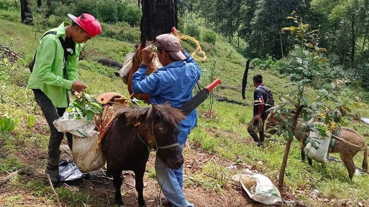 afectaciones-huracan-john-comunidades-chilpancingo-1