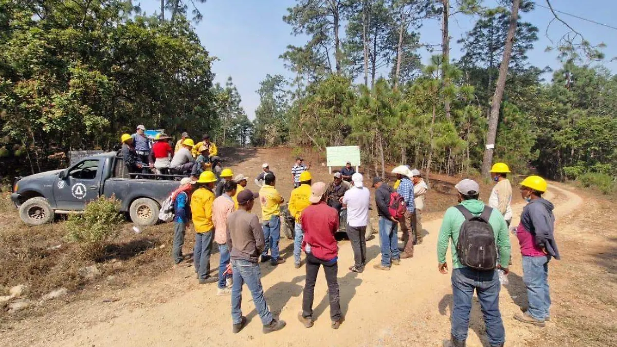 brigadas-combate-incnedios-forestales-chilpancingo