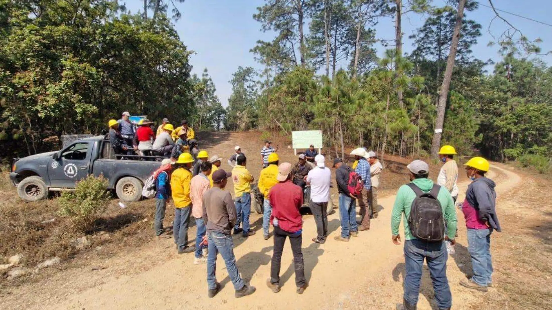 brigadas-combate-incnedios-forestales-chilpancingo