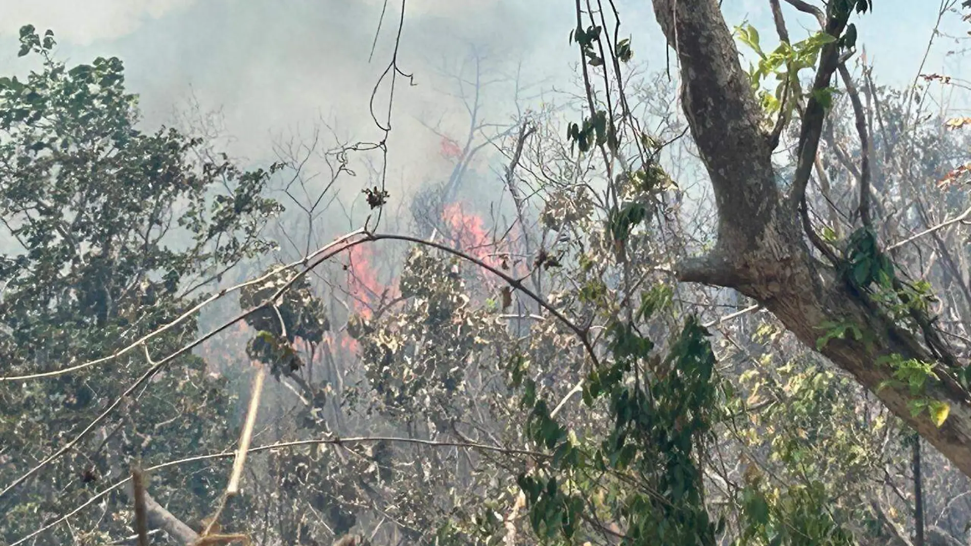 Incendios-Acapulco-Activos