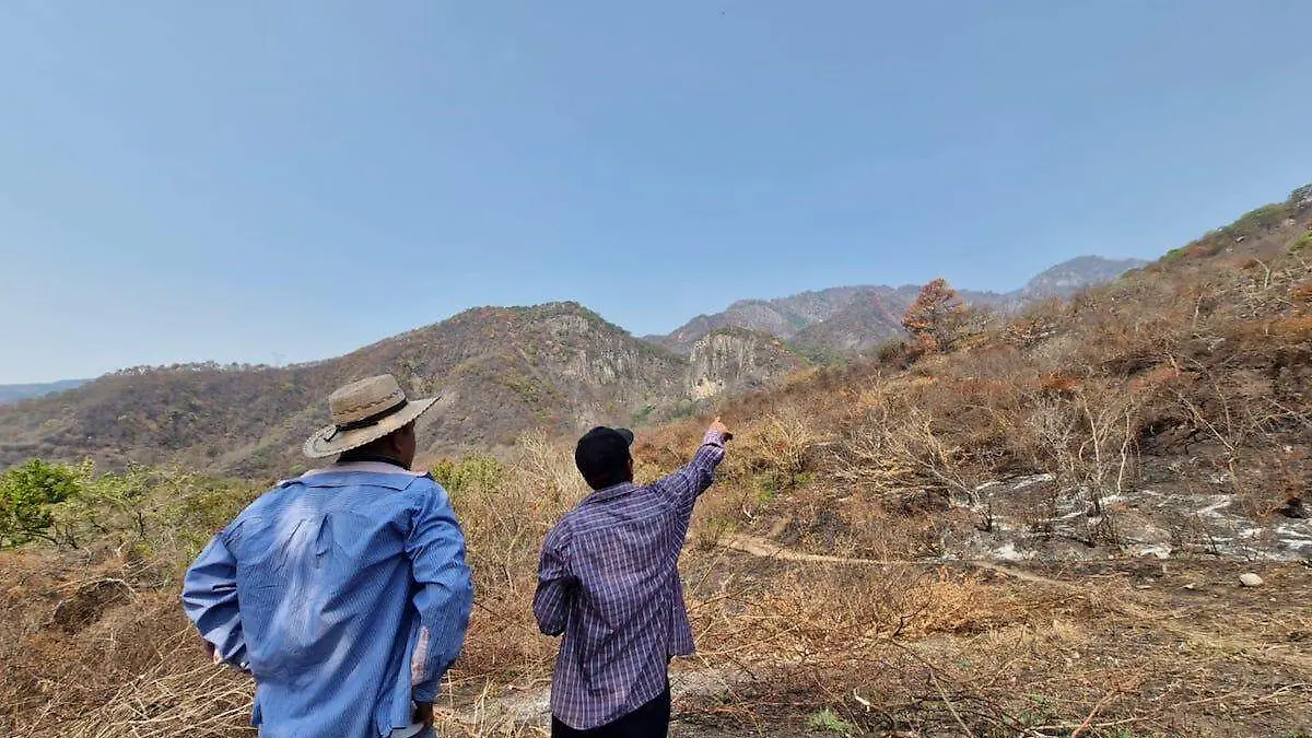daños-incendios-forestales-chilpancingo-2