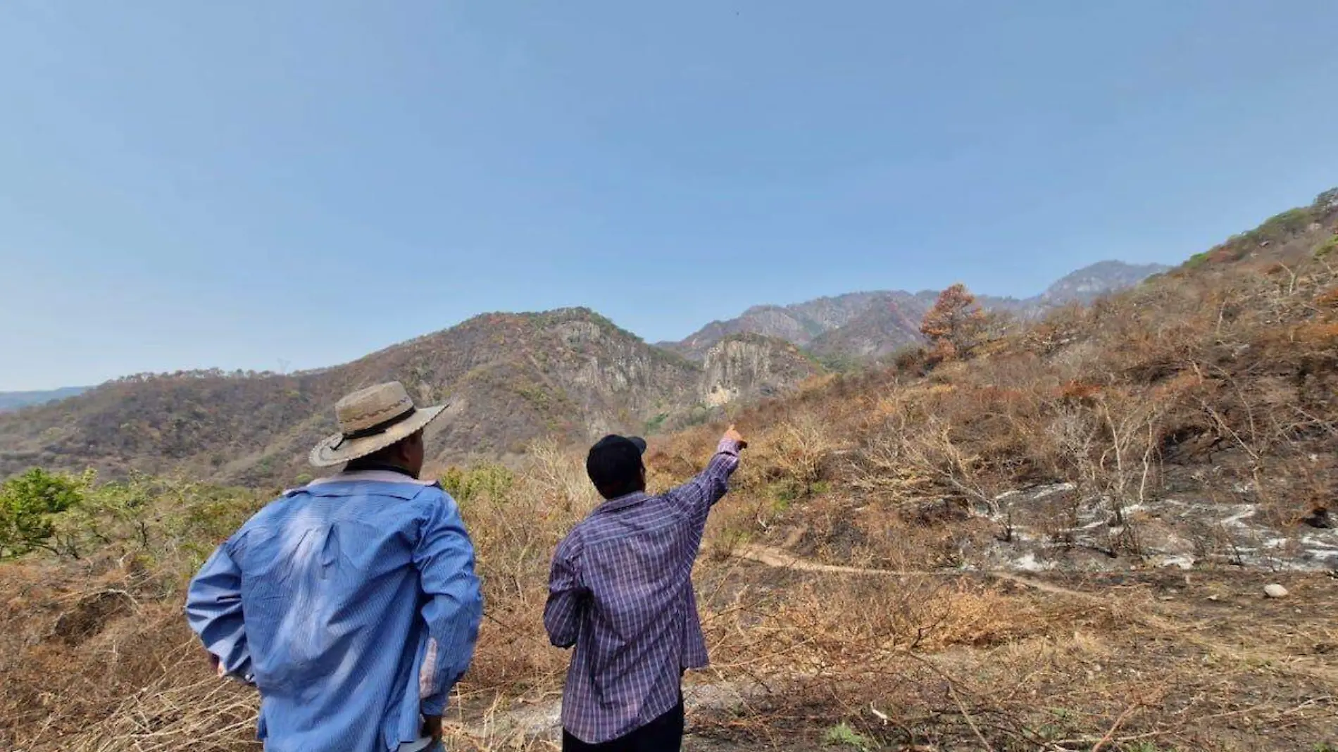 daños-incendios-forestales-chilpancingo-2