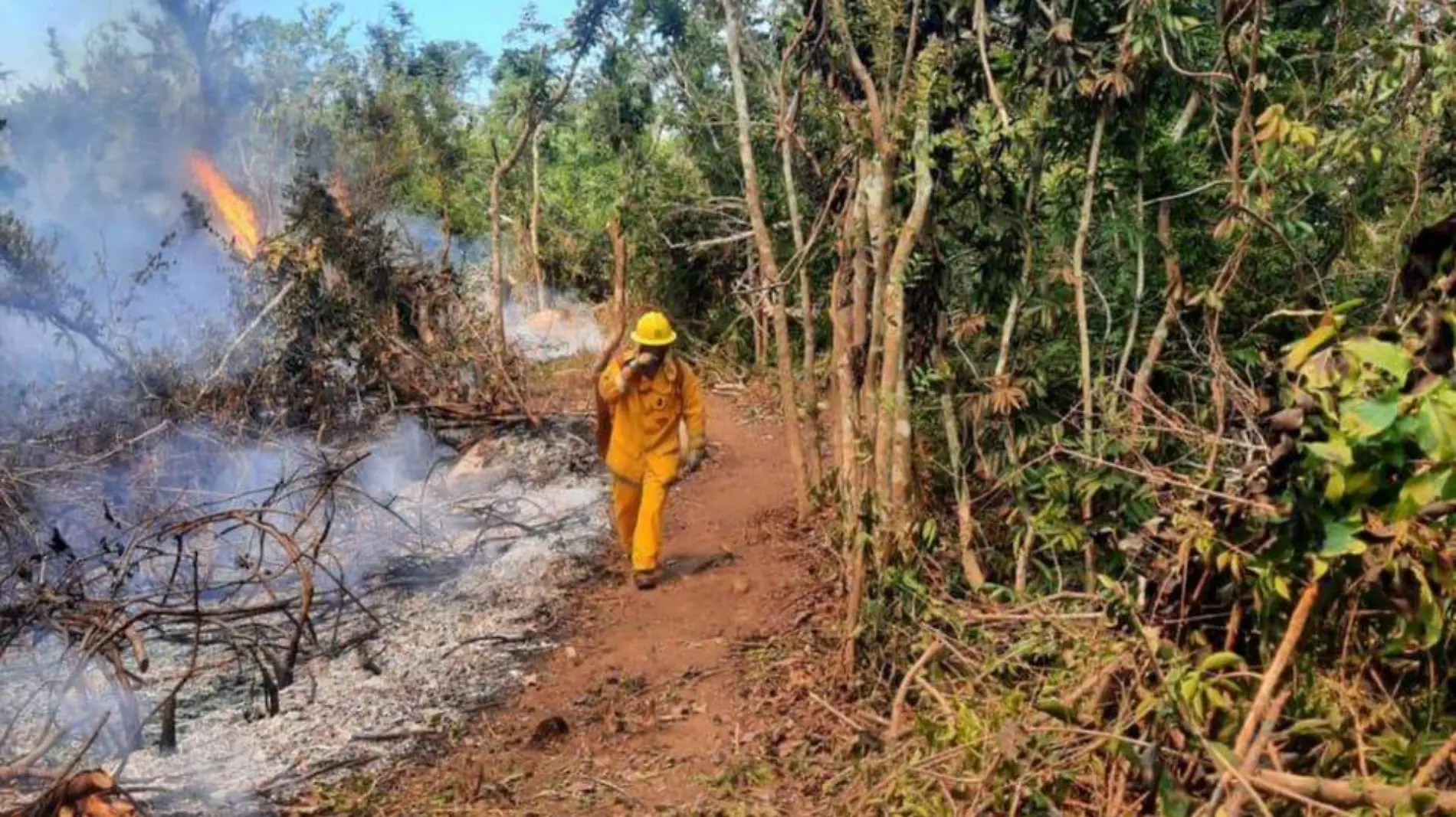 FGE-incendio-forestal-acapulco