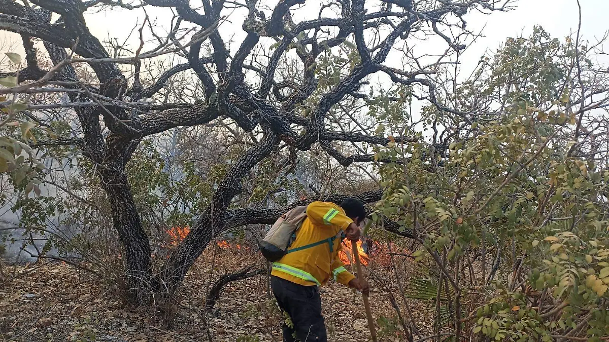 Incendios-PC-Guerrero