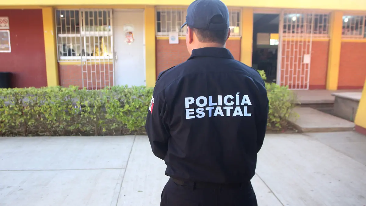 Seguridad-Escuelas