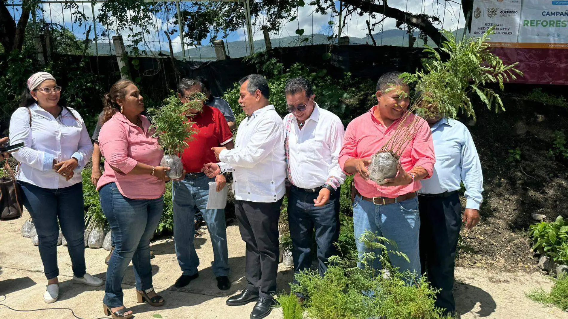 donacion-plantas1