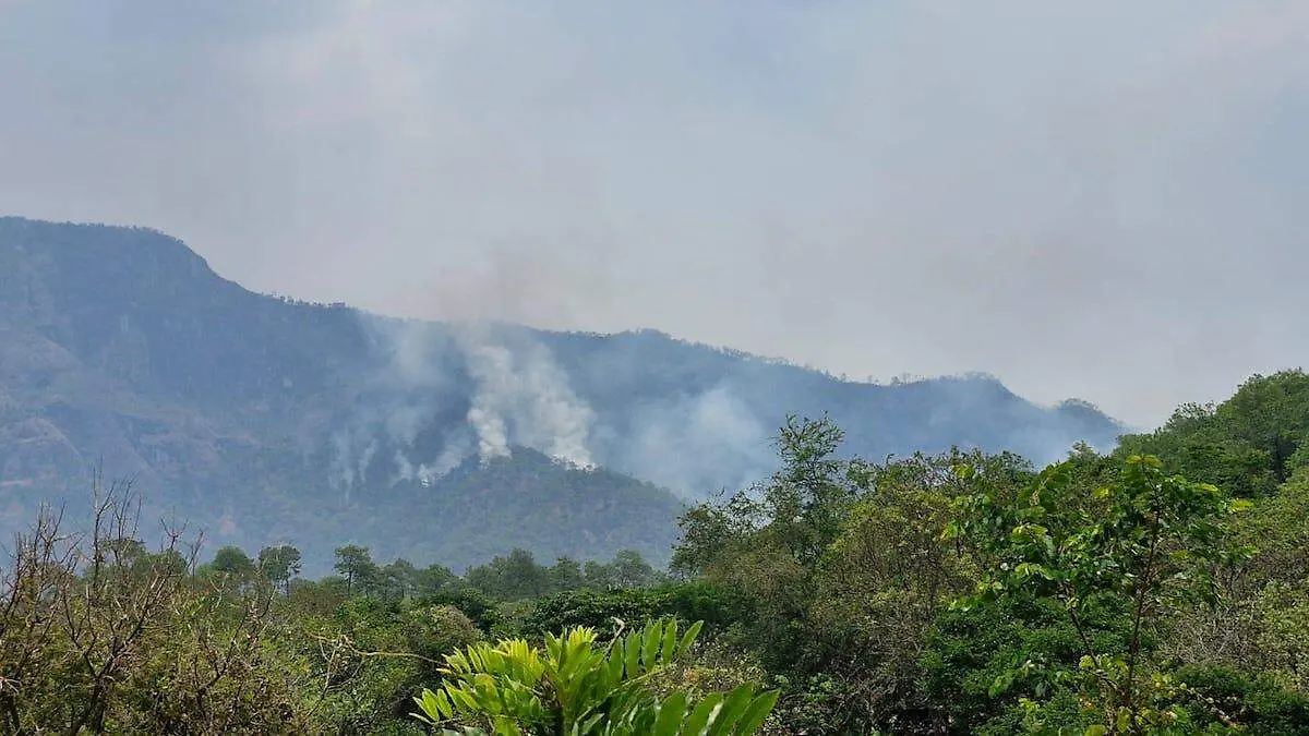 incendios-forestales-chilpancingo