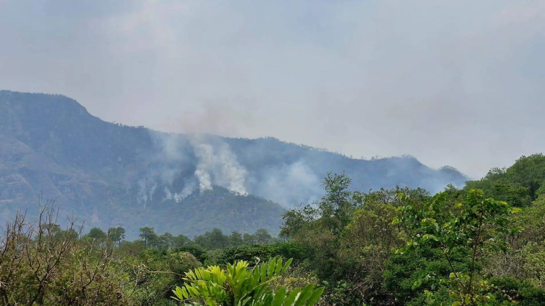 incendios-forestales-chilpancingo