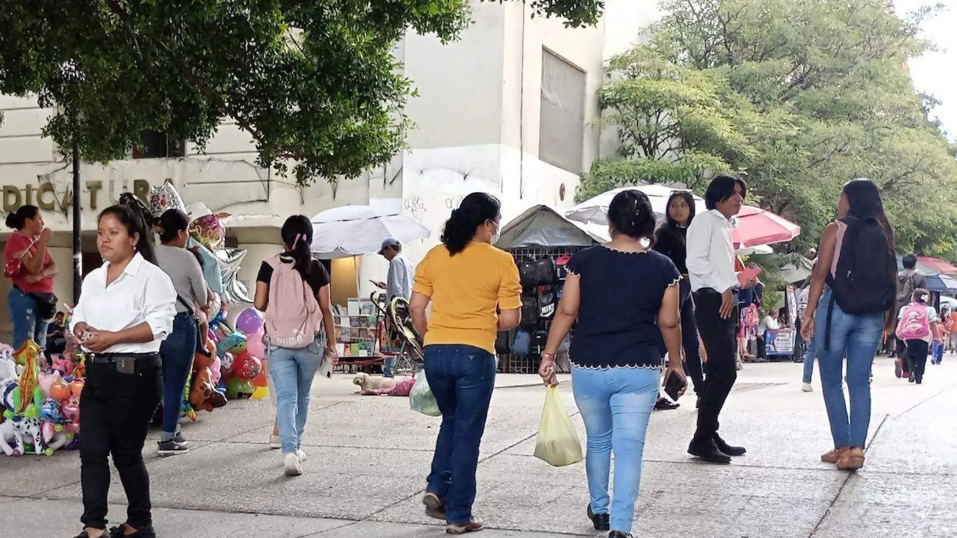 movilidad-social-chilpancingo