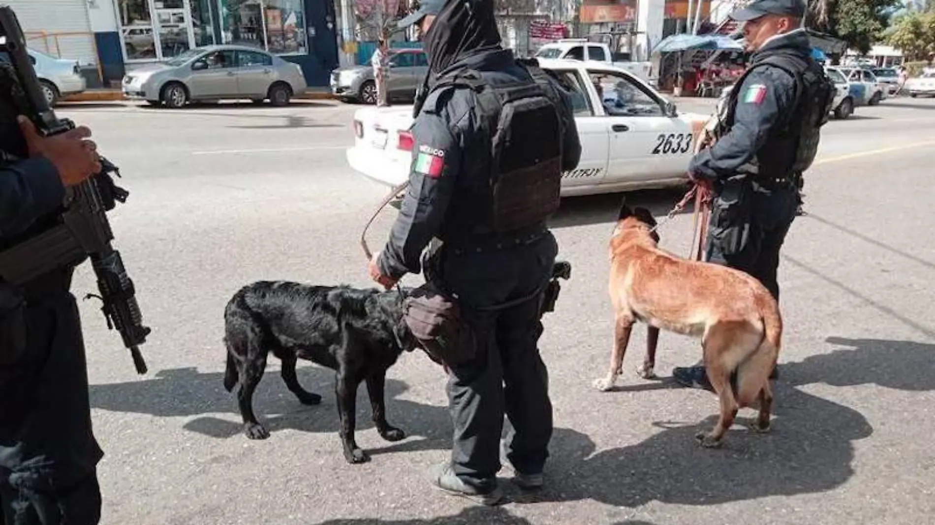 policia-estatal-guerrero