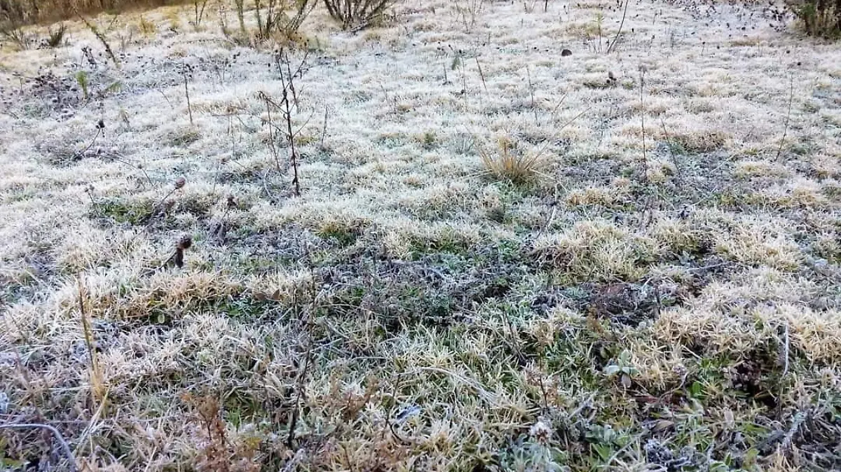 nevadas guerrero1