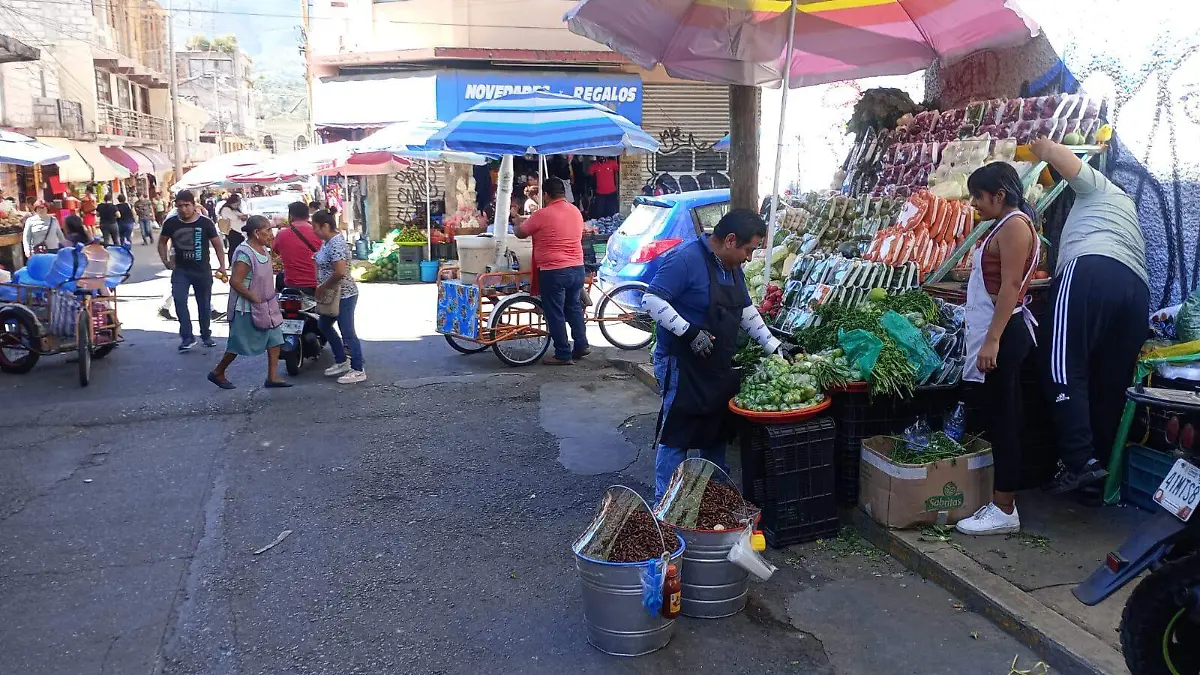 ambulantes chilpancingo3
