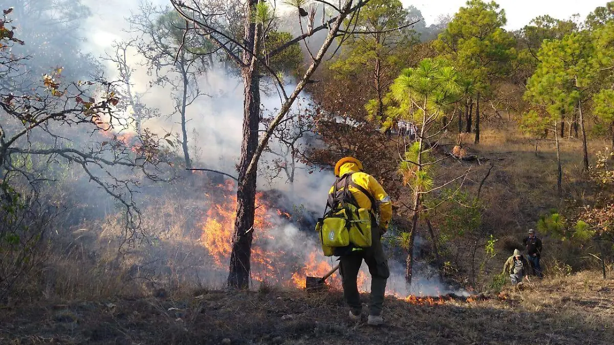 incendios-guerrero1