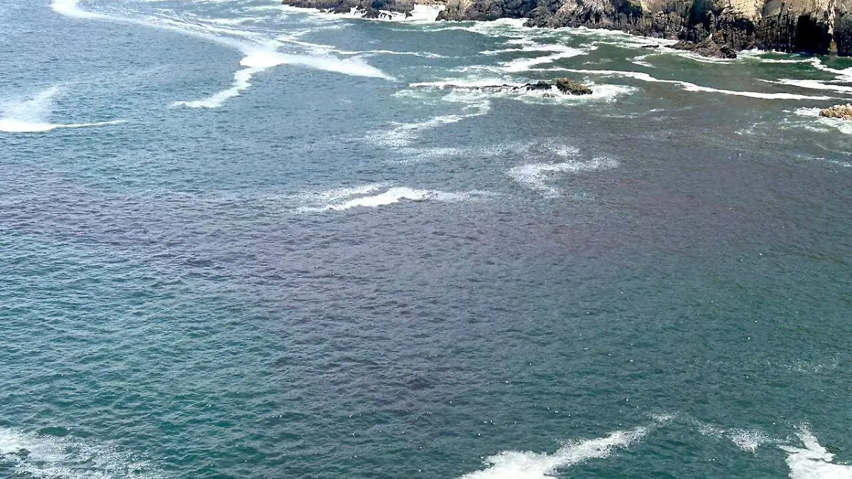 marea1