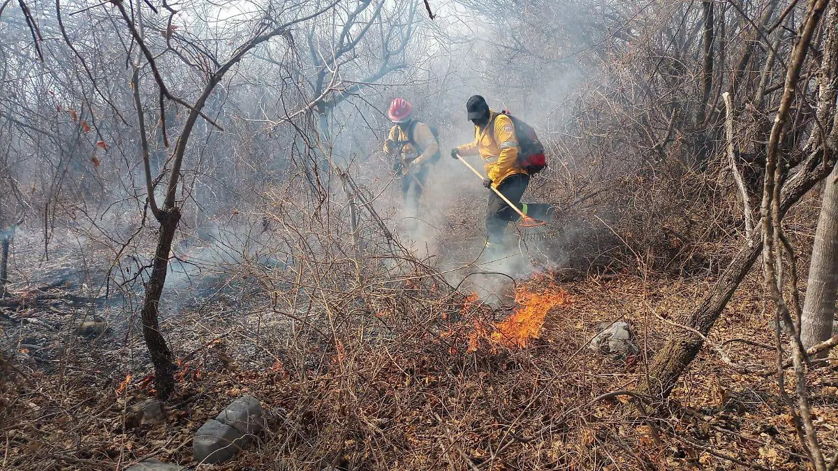 Incendios-Guerrero