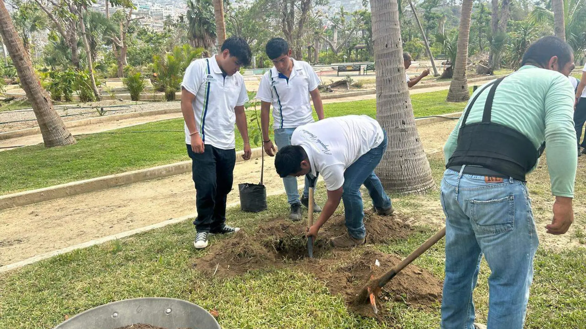 Siembran-Árboles-Acapulco