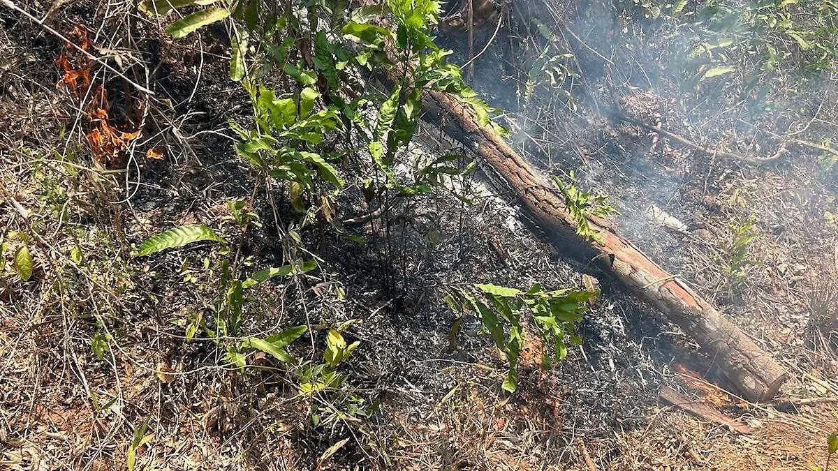 incendios-forestales-acapulco