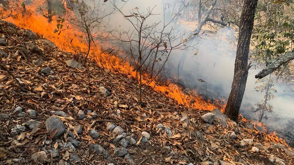 nuevo-incendio-acapulco