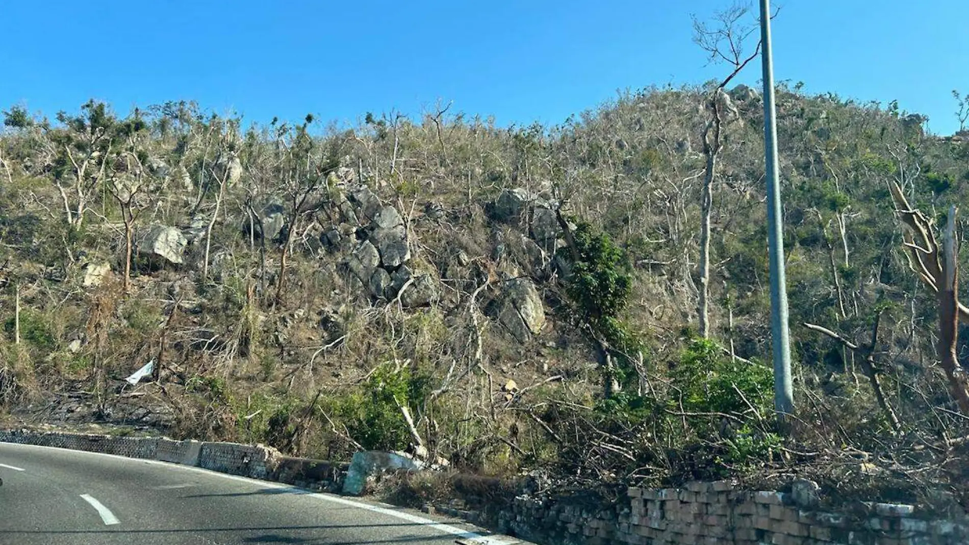 reforestacion-areas-verdes-acapulco