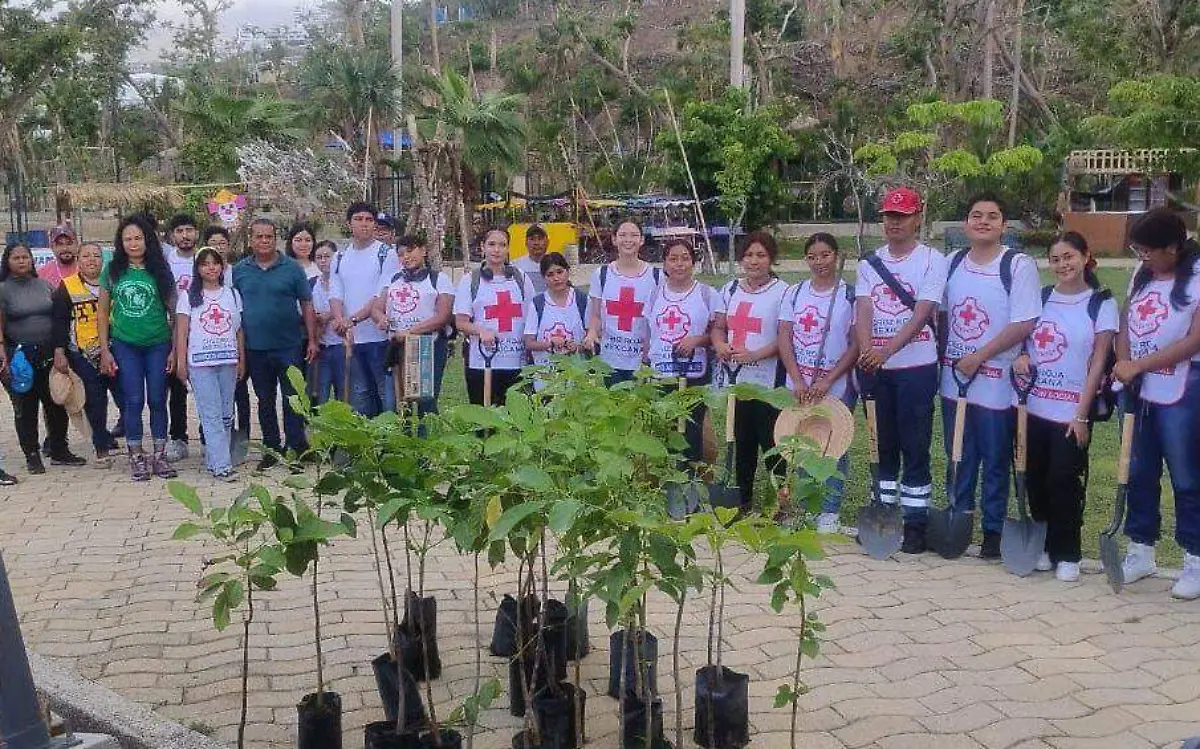 reforestacion-parque-papagayo