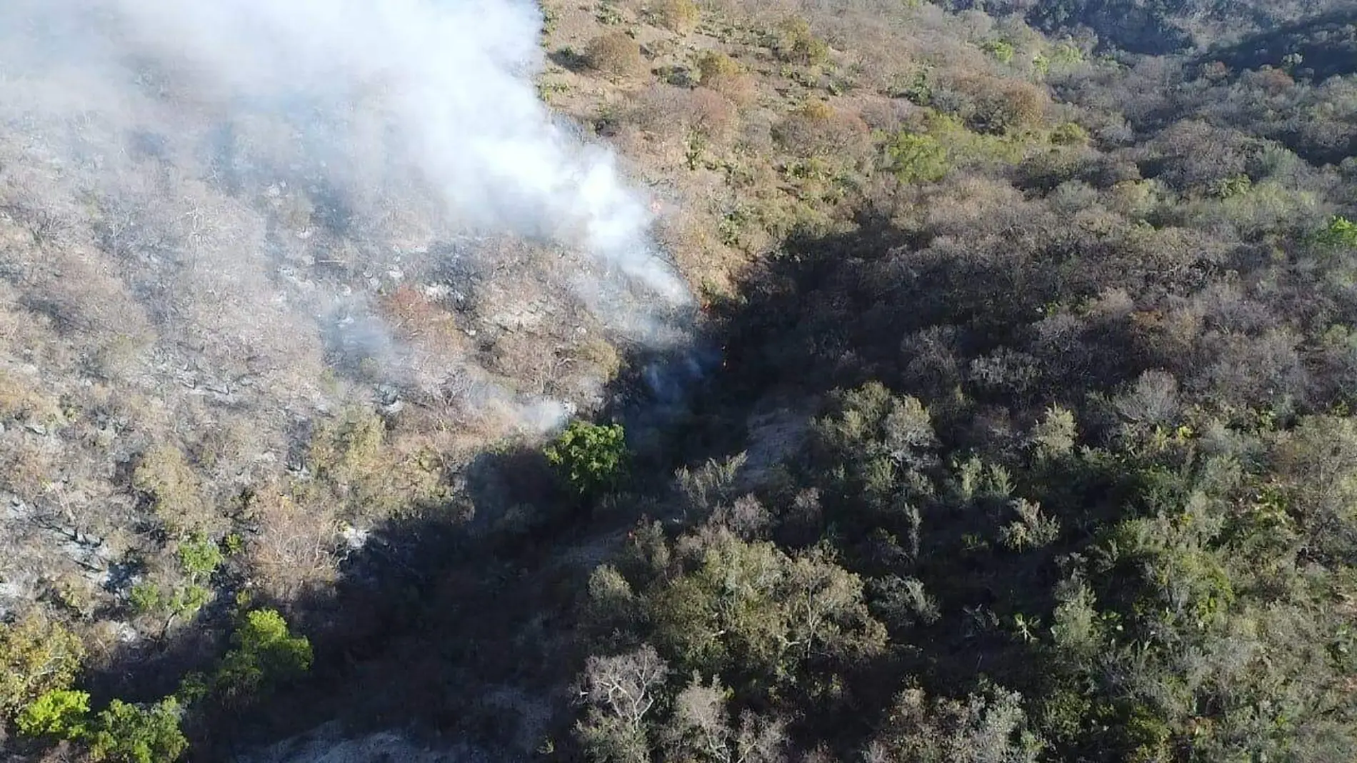 Incendios-Acapulco-PC