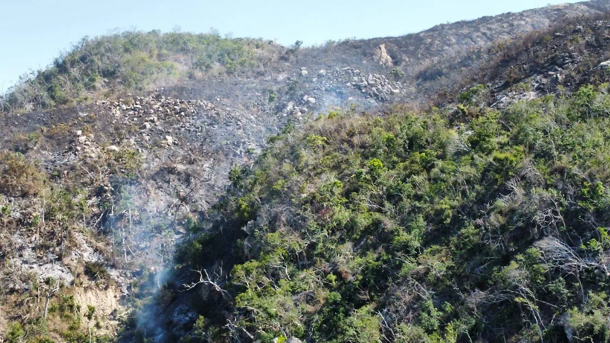 incendio-jardin2