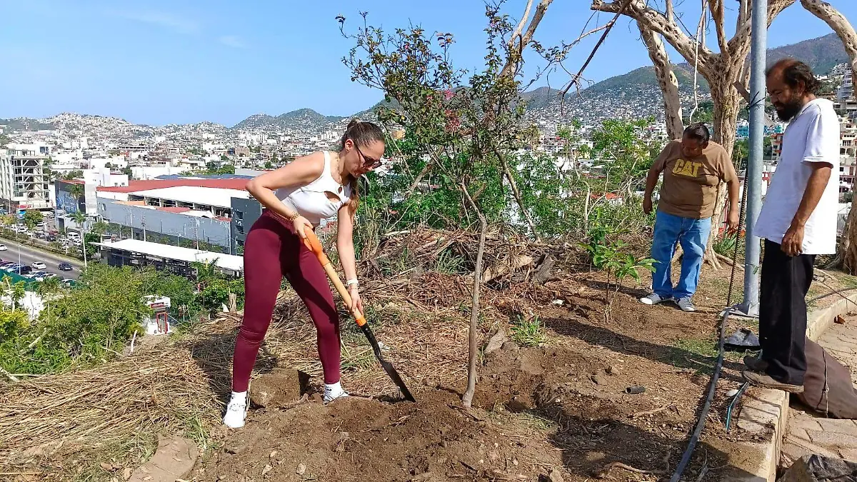 Siembran-Plantas-Acapulco