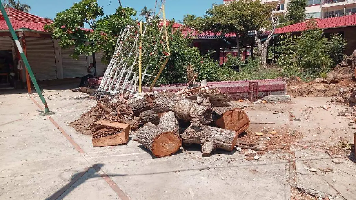 Mercado-Parazal-Obra