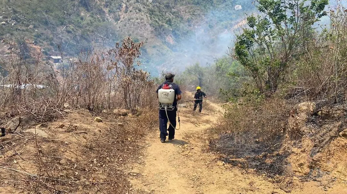 Incendio-Bigadistas