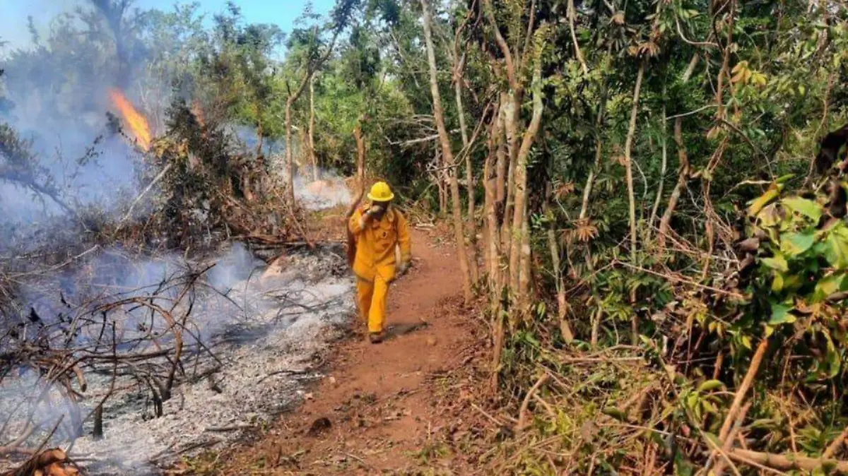 FGE-incendio-forestal-acapulco