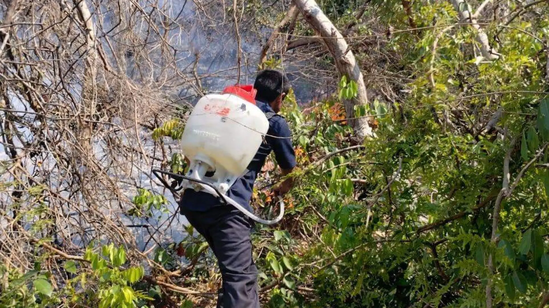 incendio-llano-largo-miramar-2