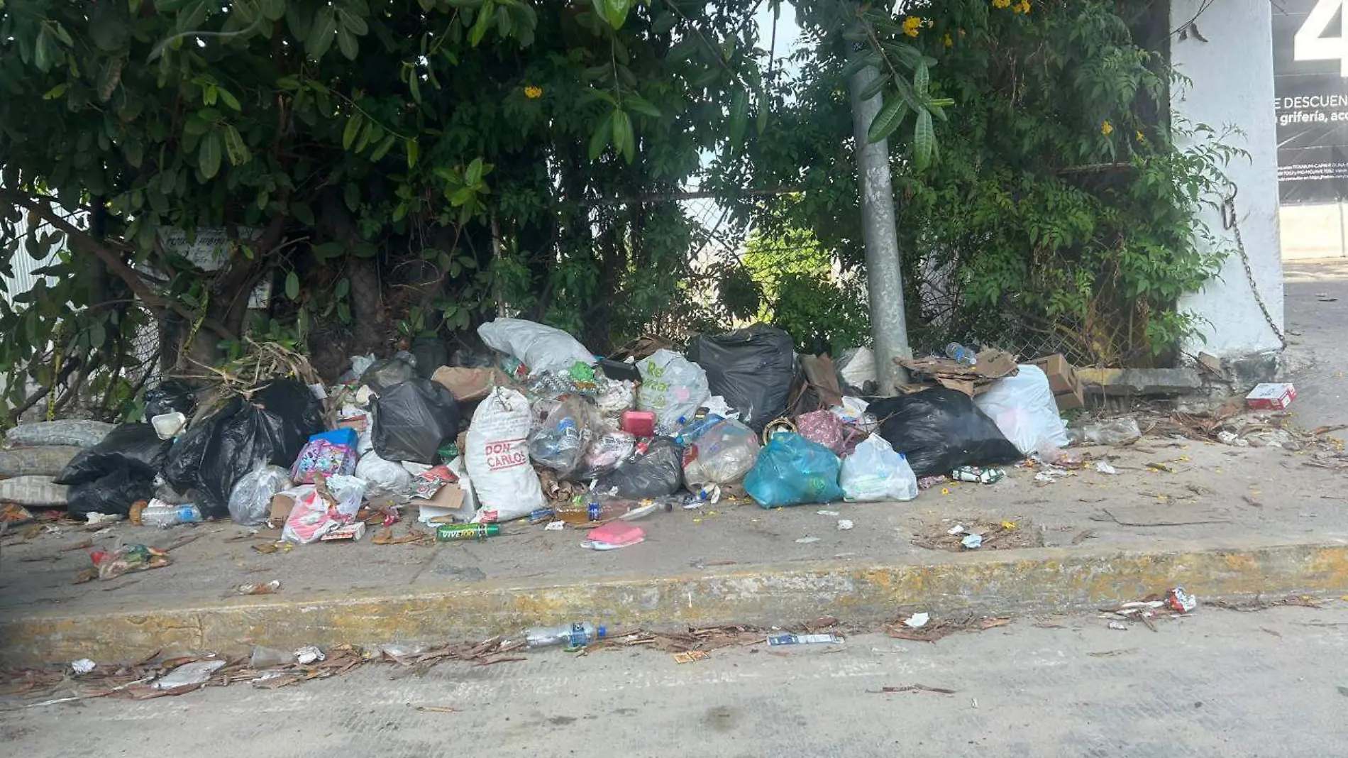 Calles-Basura-Acapulco