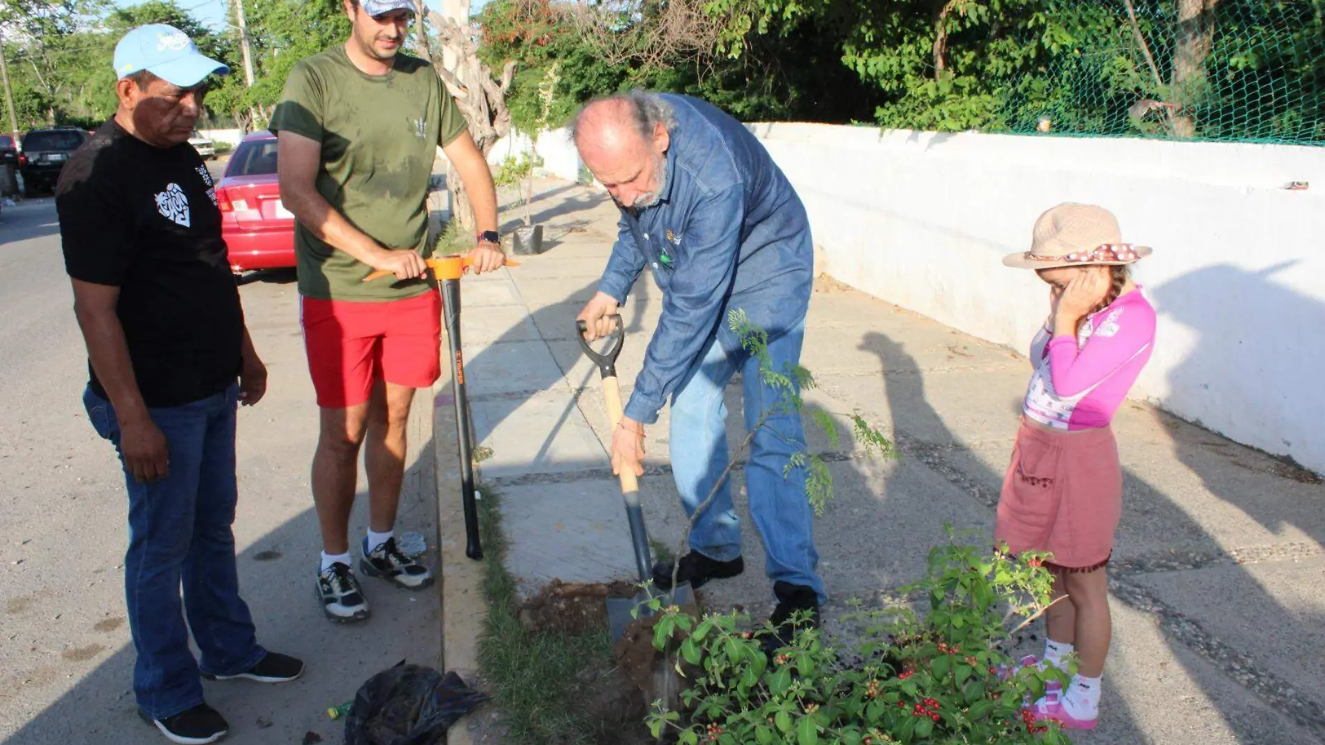 reforestacion-acapulco