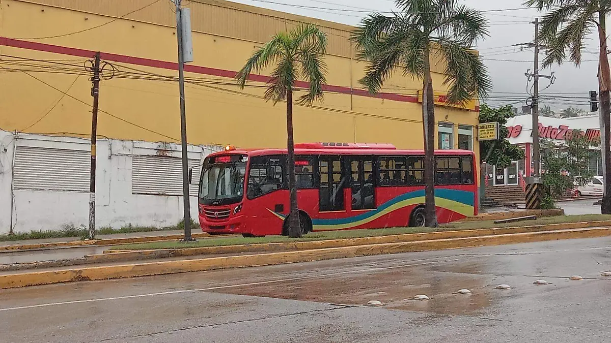 ACABÚS-TRANSPORTE