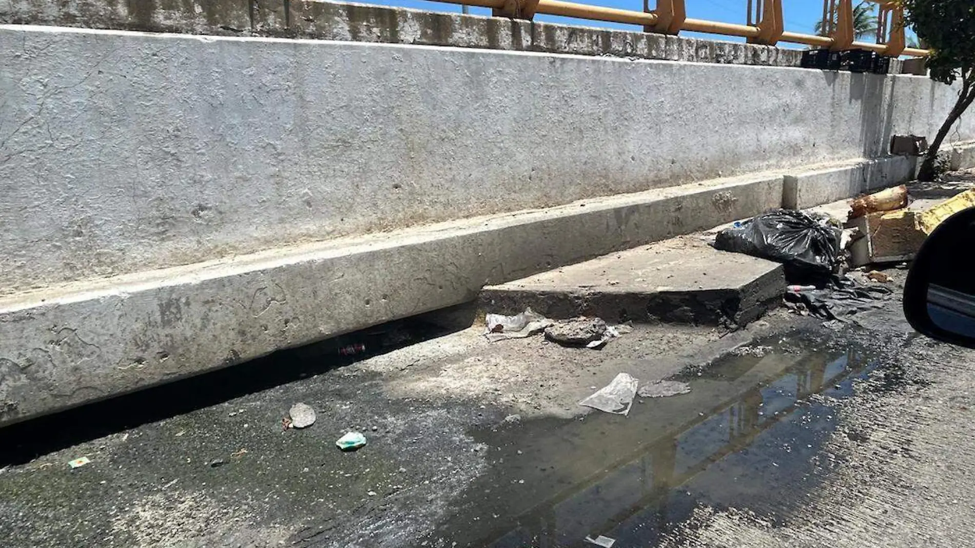 basura-aguas-negras-mercado-central-acapulco-1