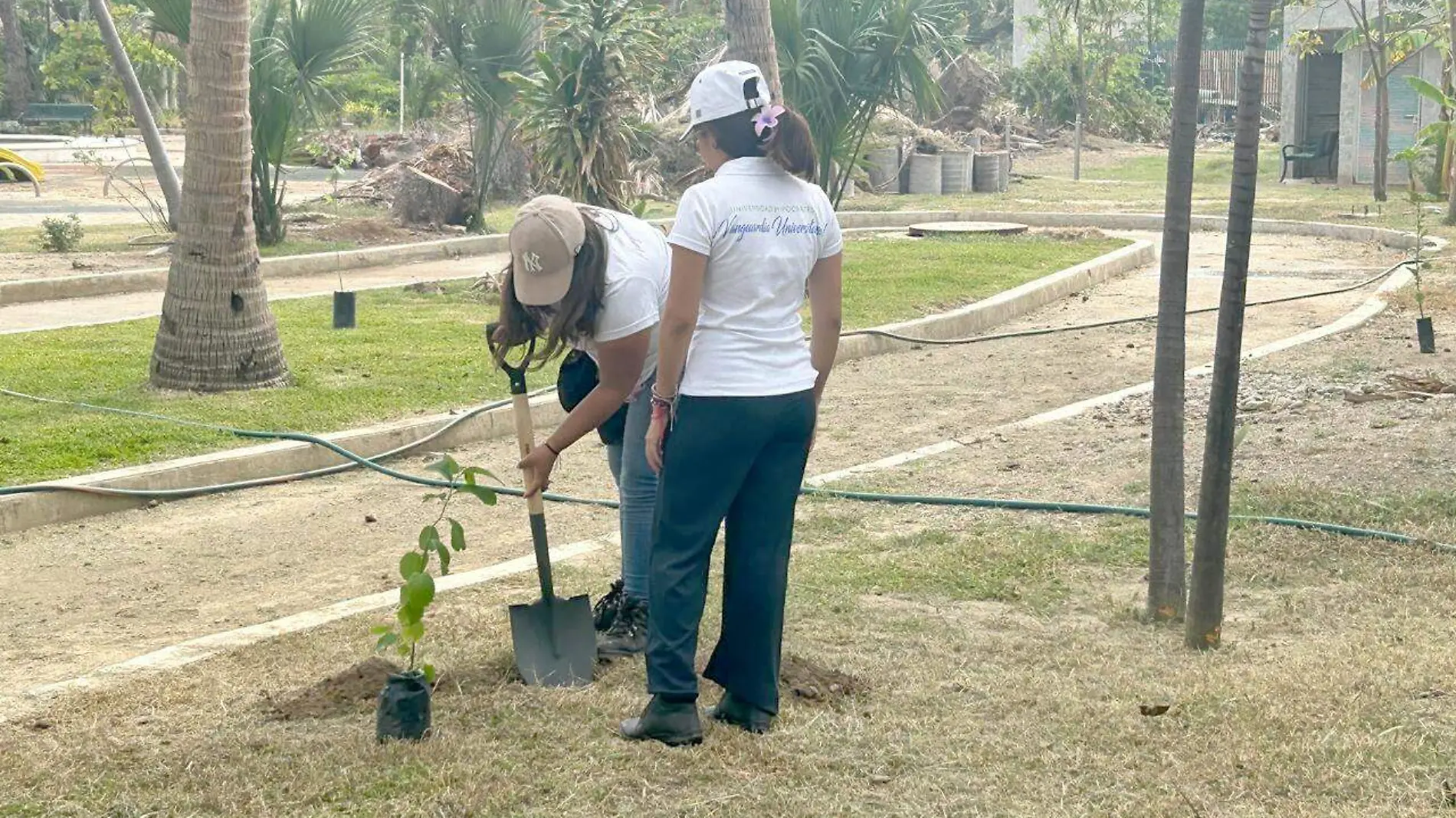 reforestacion2