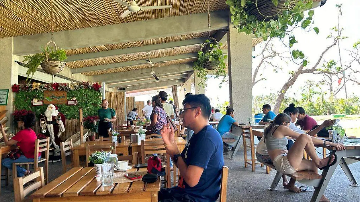 negocios acapulco2